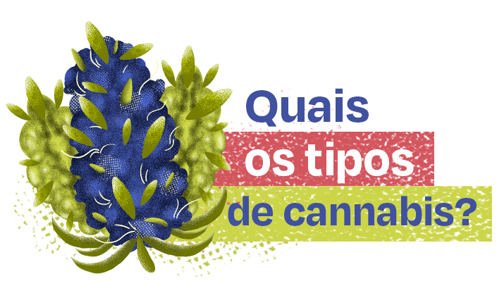 Tipos de cannabis