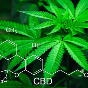 Read more about the article Diferença THC e CBD